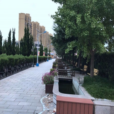 天长公墓墓型展示