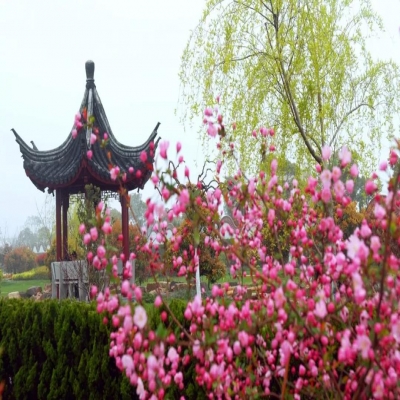 带你邂逅醉美五月天